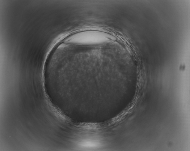 X0000116780104201001281223