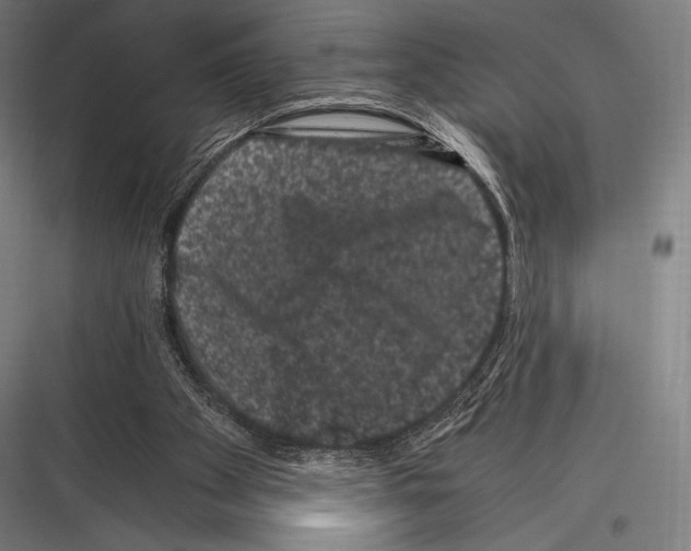 X0000116780105201001281223