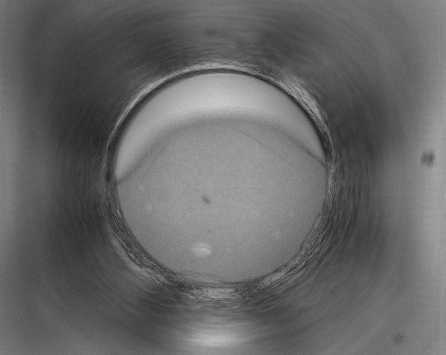 X0000116780108201001281223