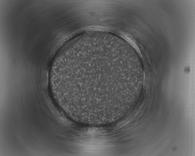 X0000116780109201001281223