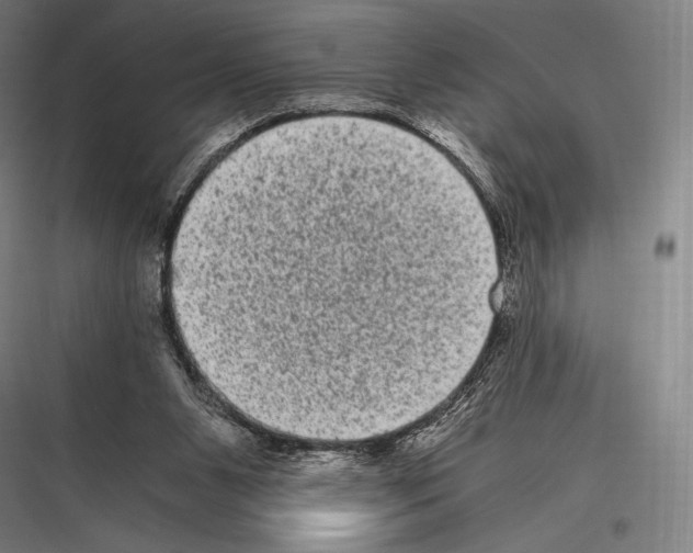 X0000116780111201001281223