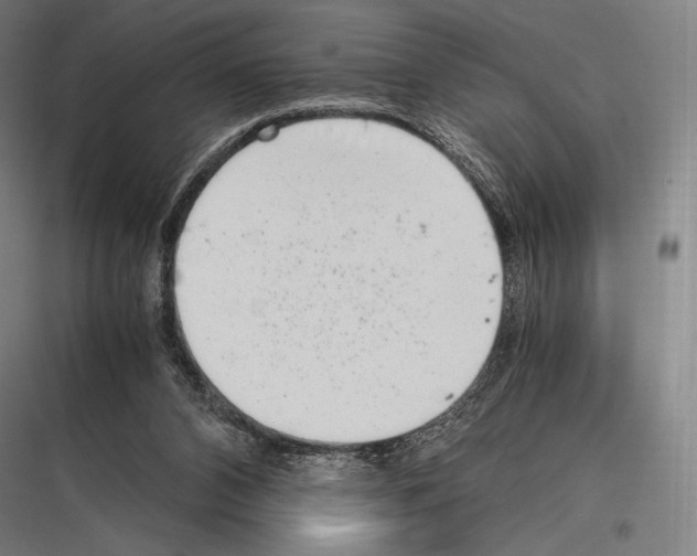 X0000116780112201001281222