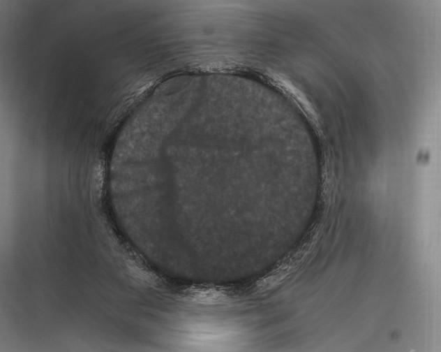 X0000116780113201001281222