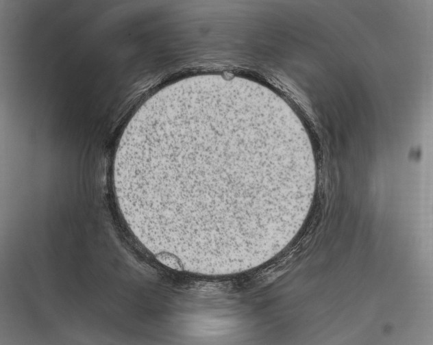 X0000116780115201001281222