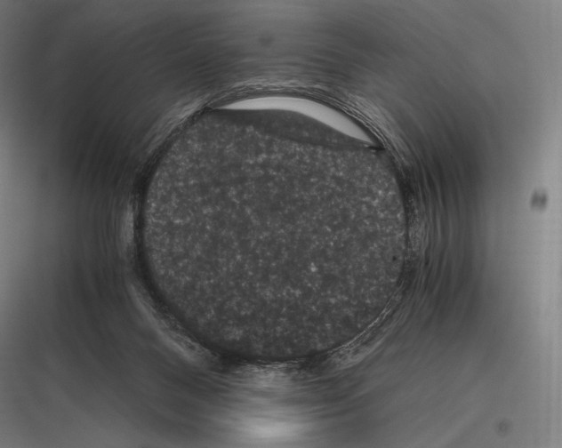 X0000116780120201001281222