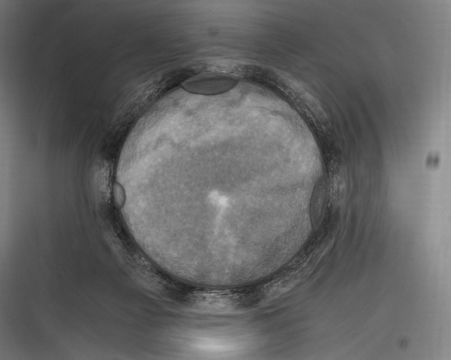 X0000116780121201001281222