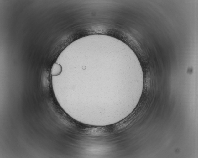 X0000116780122201001281222