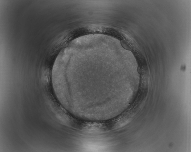 X0000116780125201001281222