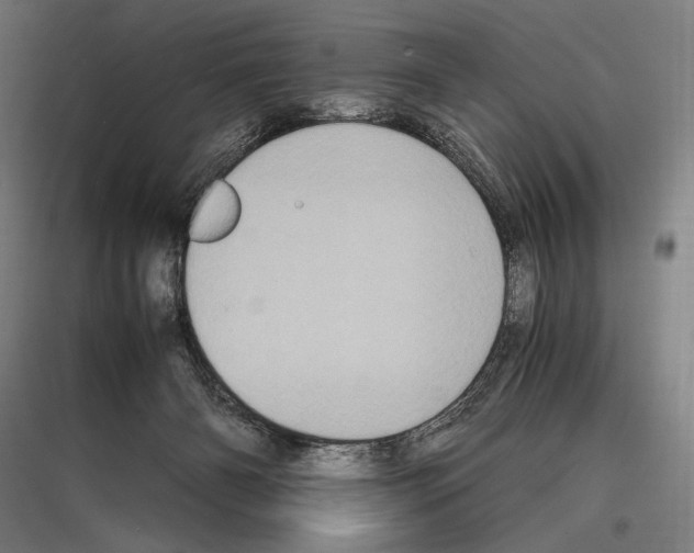 X0000116780126201001281222