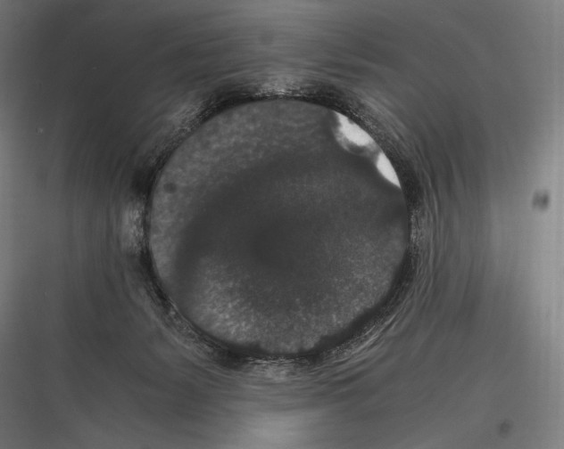 X0000116780127201001281222