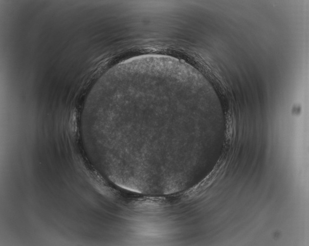 X0000116780128201001281222