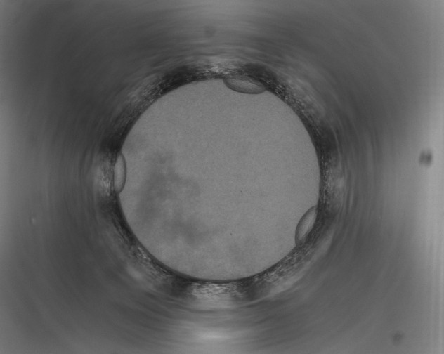 X0000116780129201001281222