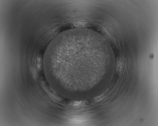 X0000116780130201001281222