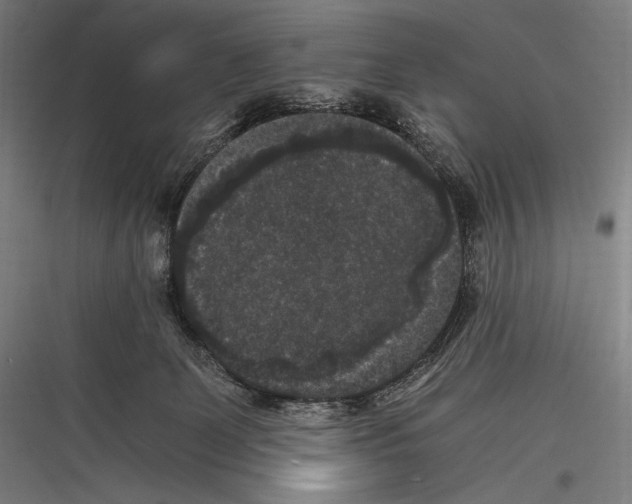 X0000116780131201001281222