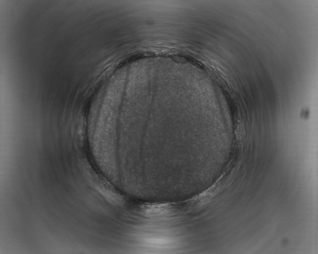 X0000116780132201001281222