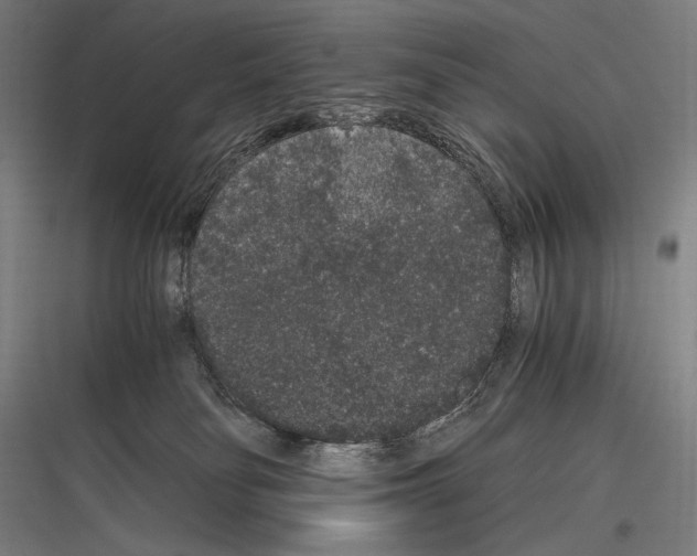 X0000116780134201001281222