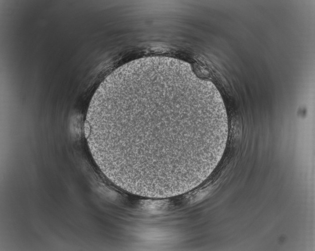 X0000116780135201001281222