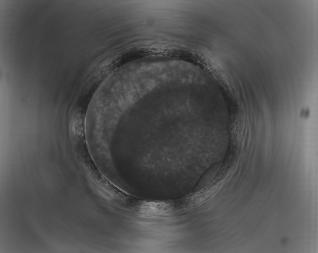 X0000116780137201001281222