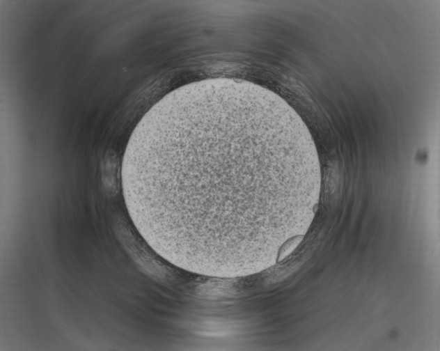 X0000116780138201001281222