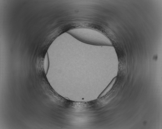 X0000116780141201001281222