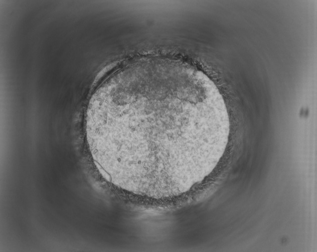 X0000116780144201001281222