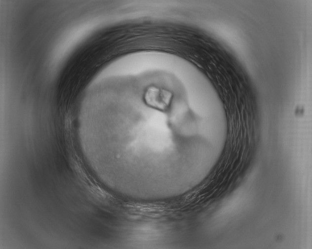 X0000116780146201001281221