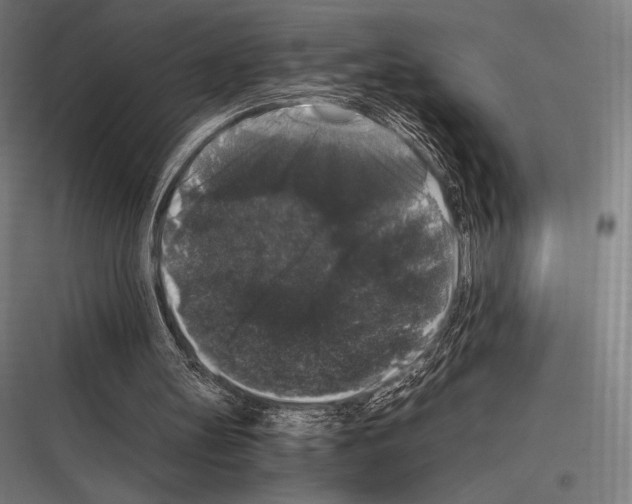 X0000116780147201001281221