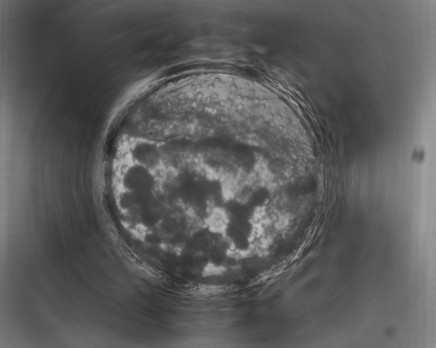 X0000116780149201001281221