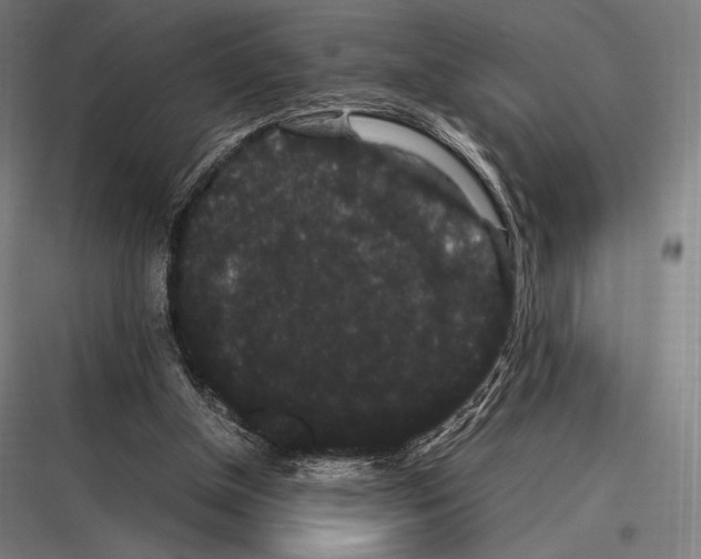 X0000116780154201001281222