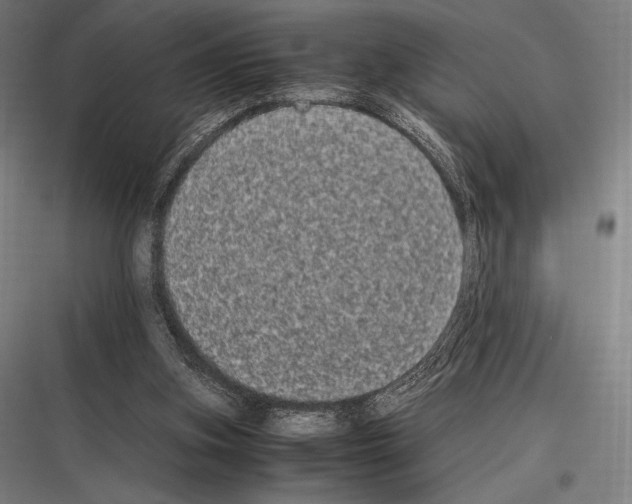 X0000116780155201001281222