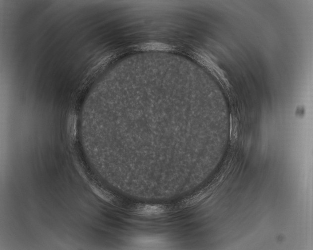 X0000116780157201001281222