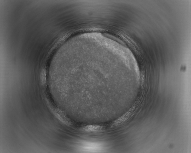 X0000116780158201001281222