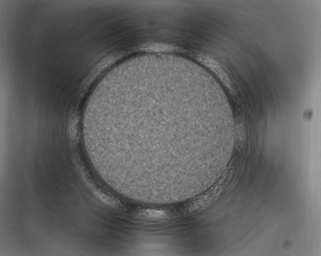 X0000116780159201001281222