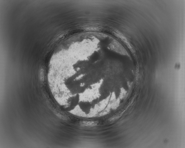 X0000116780161201001281222