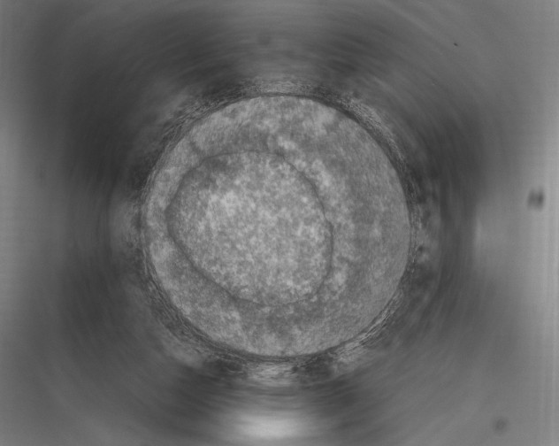 X0000116780162201001281222