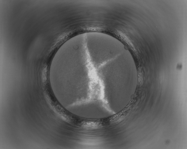 X0000116780163201001281222