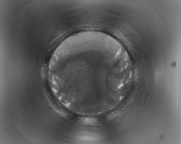 X0000116780165201001281222