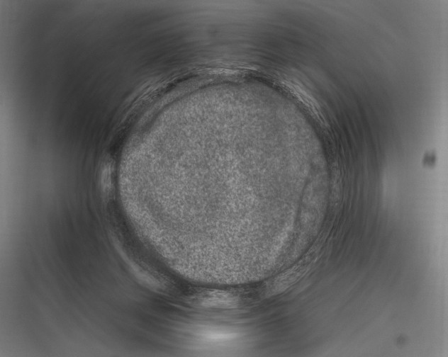 X0000116780166201001281222