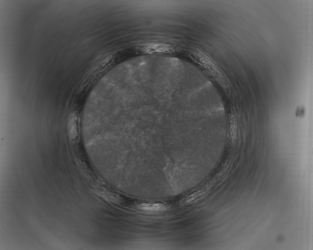 X0000116780169201001281222