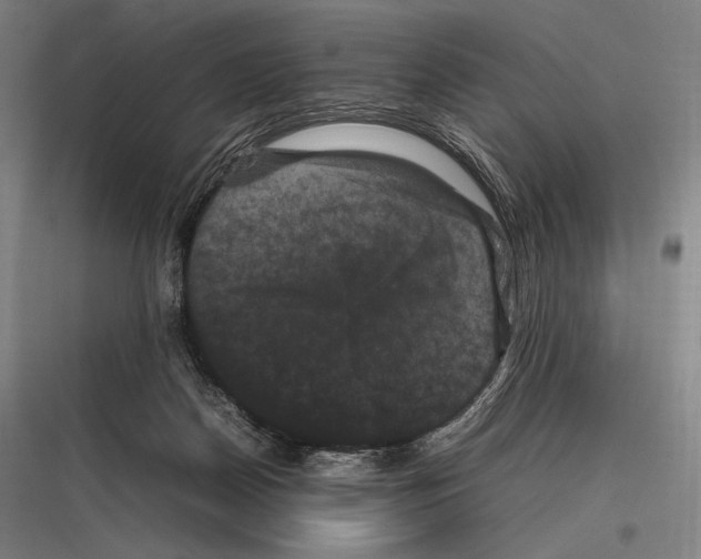 X0000116780170201001281222