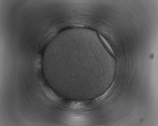 X0000116780174201001281222