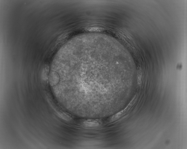 X0000116780175201001281222