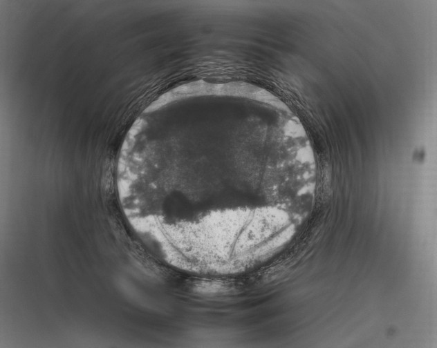 X0000116780177201001281222