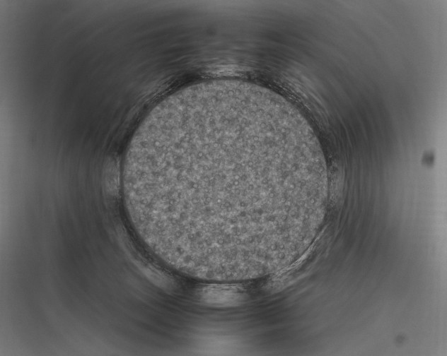 X0000116780179201001281222