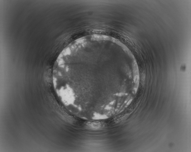 X0000116780181201001281222