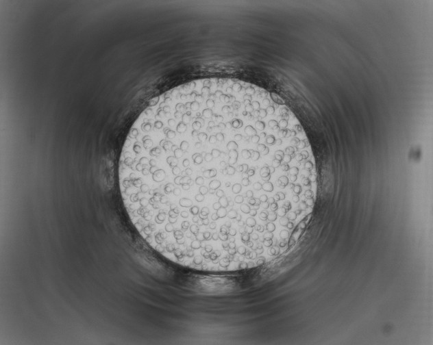 X0000116780183201001281222