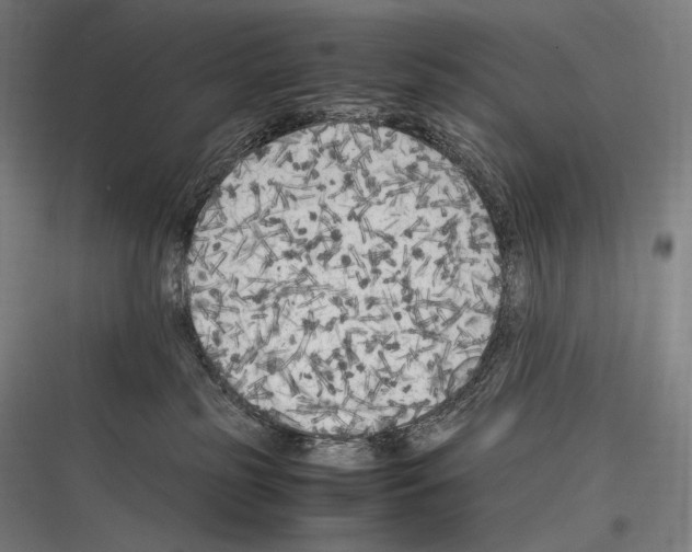 X0000116780185201001281222