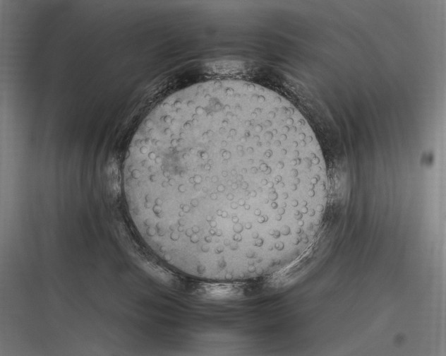 X0000116780187201001281222