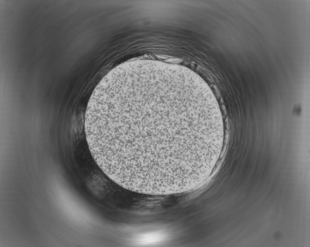 X0000116780190201001281222