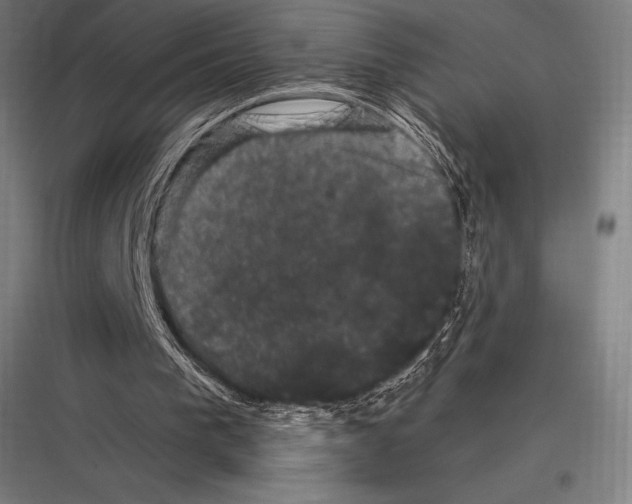 X0000116780193201001281221